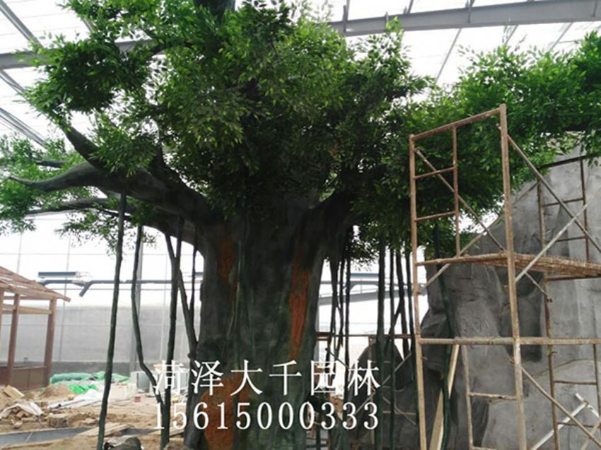 點(diǎn)擊查看詳細(xì)信息<br>標(biāo)題：假樹 閱讀次數(shù)：1201