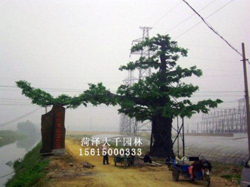 點(diǎn)擊查看詳細(xì)信息<br>標(biāo)題：假樹 閱讀次數(shù)：1242
