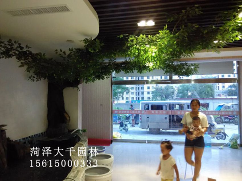 點(diǎn)擊查看詳細(xì)信息<br>標(biāo)題：假樹 閱讀次數(shù)：1279
