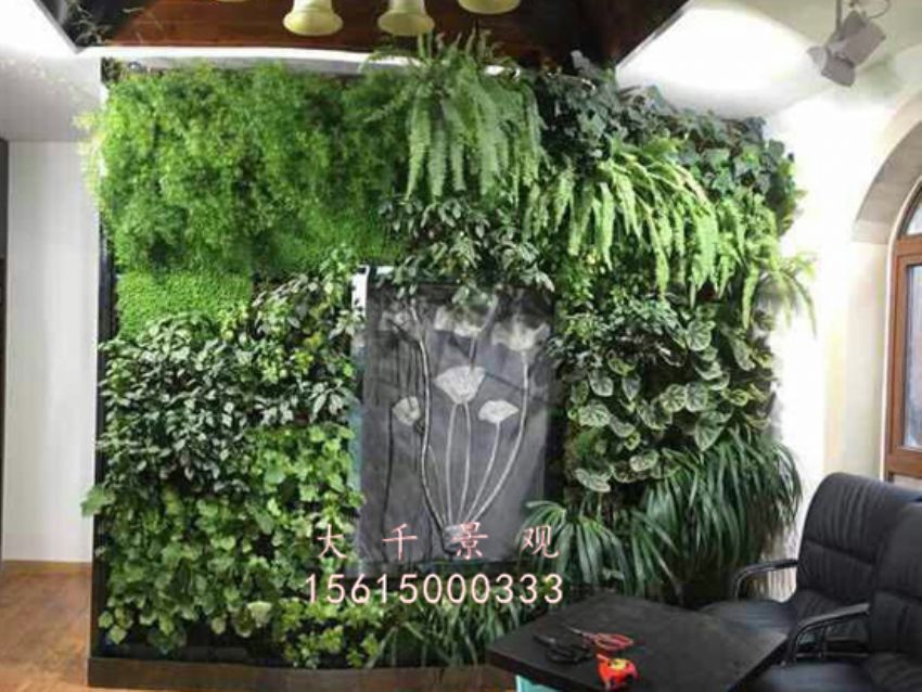 點(diǎn)擊查看詳細(xì)信息<br>標(biāo)題：綠植墻 閱讀次數(shù)：1507