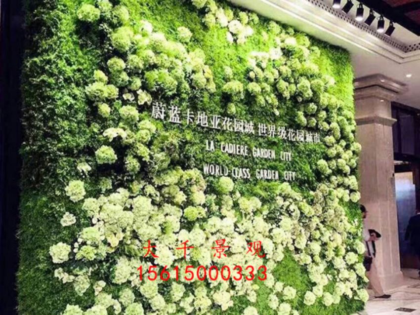 點(diǎn)擊查看詳細(xì)信息<br>標(biāo)題：綠植墻 閱讀次數(shù)：1772