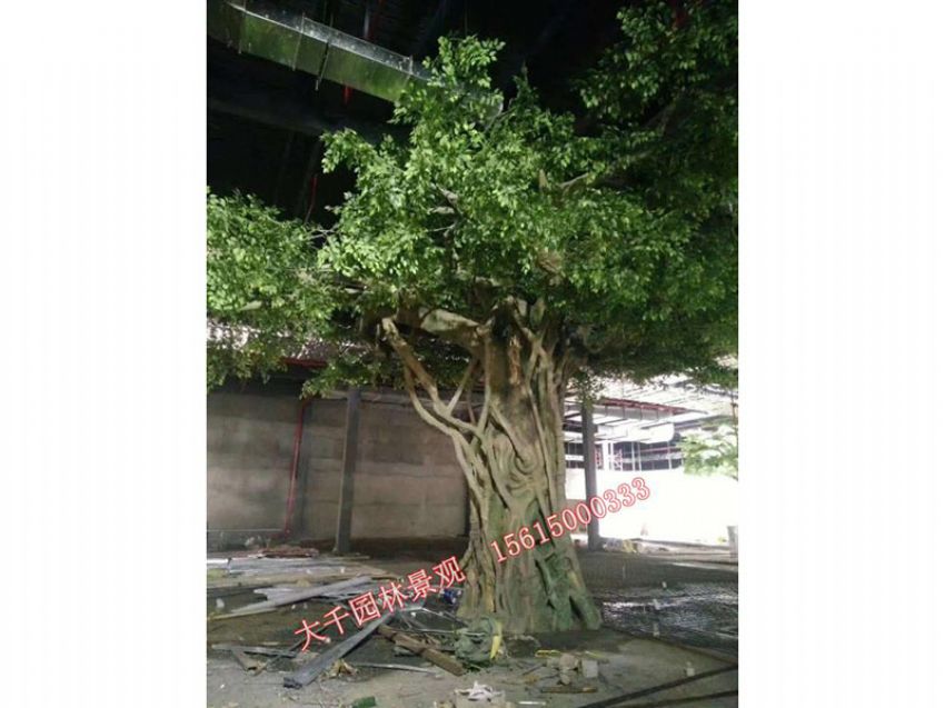 點(diǎn)擊查看詳細(xì)信息<br>標(biāo)題：假樹(shù) 閱讀次數(shù)：2005