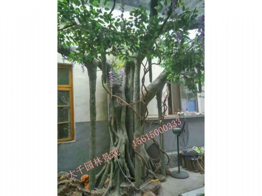 點(diǎn)擊查看詳細(xì)信息<br>標(biāo)題：假樹(shù) 閱讀次數(shù)：1901